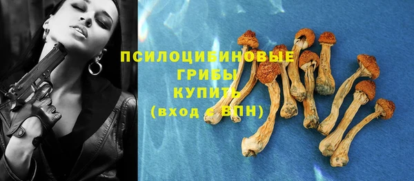 прущие крисы Арсеньев