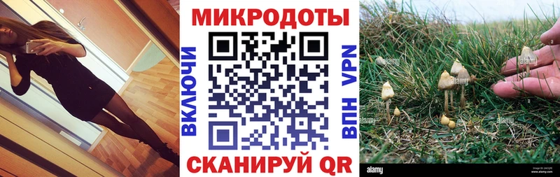 хочу   Вихоревка  Галлюциногенные грибы ЛСД 